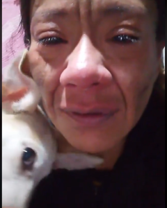 La asesinaron por defender a sus perritos